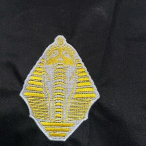 Dickies shorts limited edition